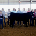 steer slider